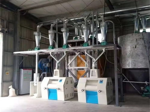 辽宁工业磨粉机采购指南 工联粮油机械与机电组件设备解析
