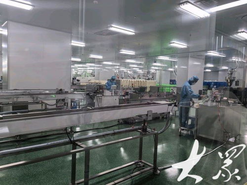 向新发力 从连年亏损到全国前三，这家淄博医疗器械企业的逆袭之路